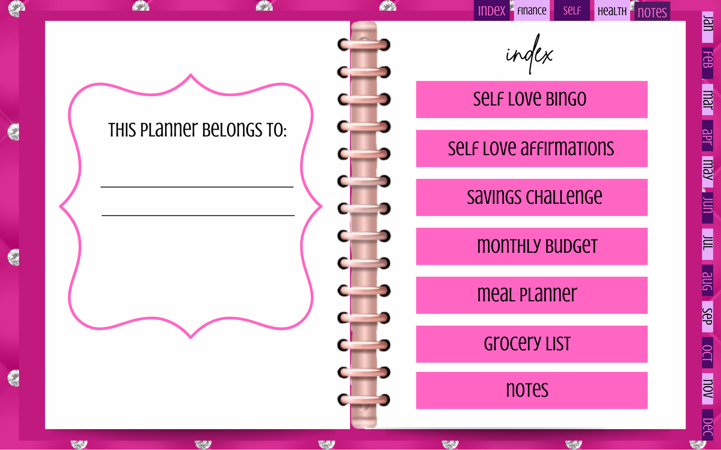 2024 Pretty in Pink Digital Planner Download for Your Tablet or Print It