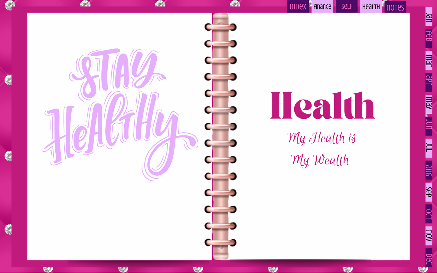 2024 Pretty in Pink Digital Planner Download for Your Tablet or Print It