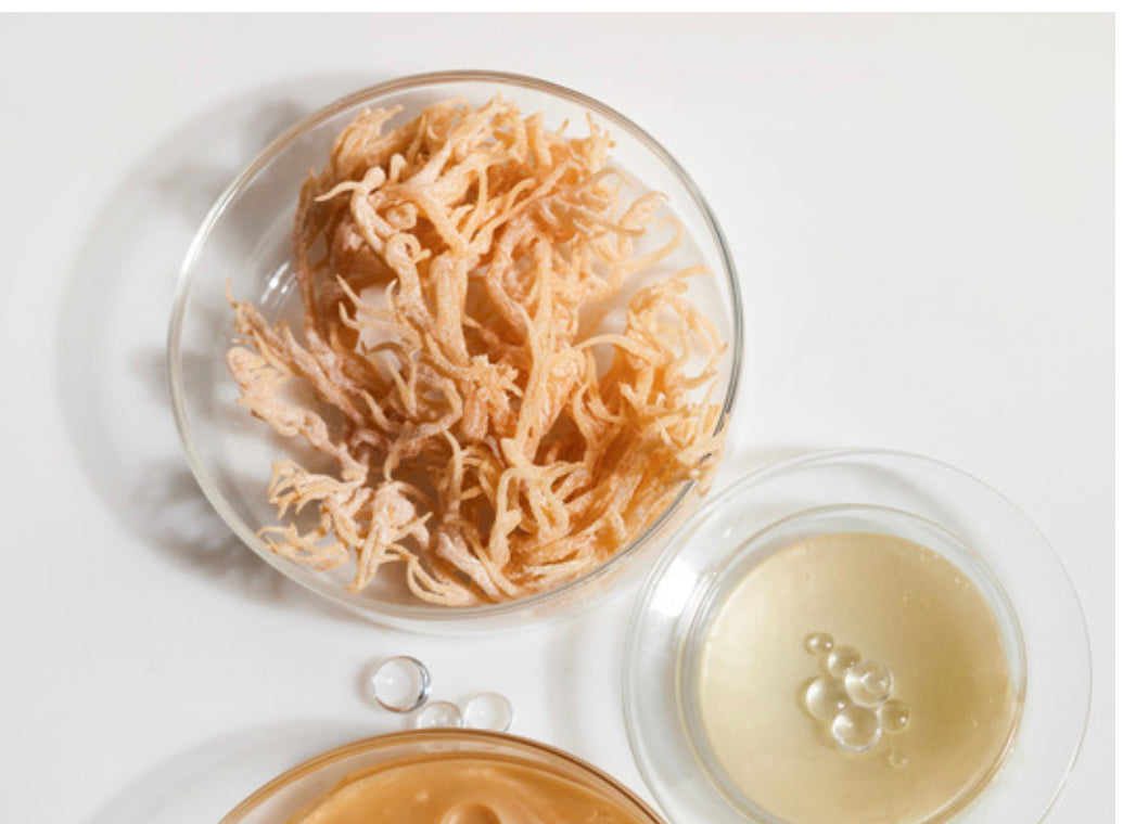 Organic Sea Moss Lion’s Mane