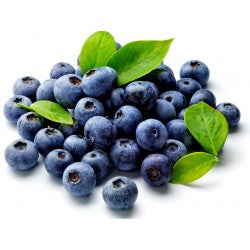 Need Help with Your Vision? Try Our Bilberry Syrup